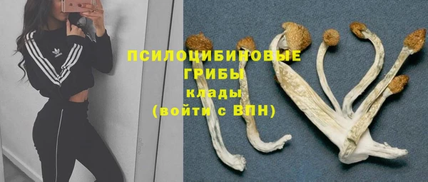 мескалин Аркадак