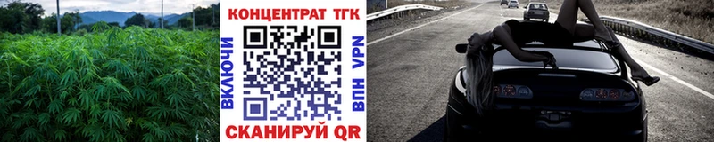 МЕГА ссылки  Тавда  Дистиллят ТГК гашишное масло 