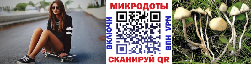 Галлюциногенные грибы Psilocybine cubensis  где найти   Тавда 